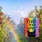 Rainbow Garden Flag Pride Month Decor Double Sided 12 x 18 (Love Always Wins)